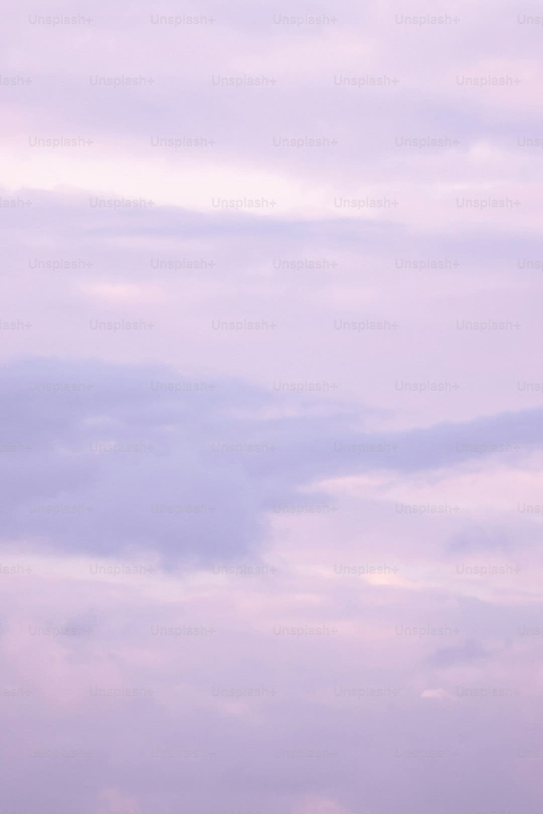 漳浦开渔 千帆竞发赴蓝海